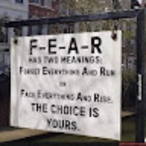 Meet your Posher, Sandy